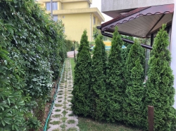 Студио Равда